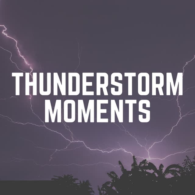 Thunderstorm Moments - Thunderstorms HD