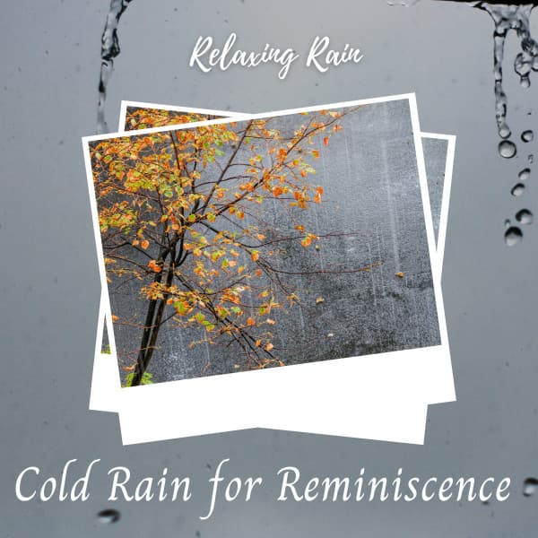 Relaxing Rain: Cold Rain for Reminiscence - Heavy Rain Sounds