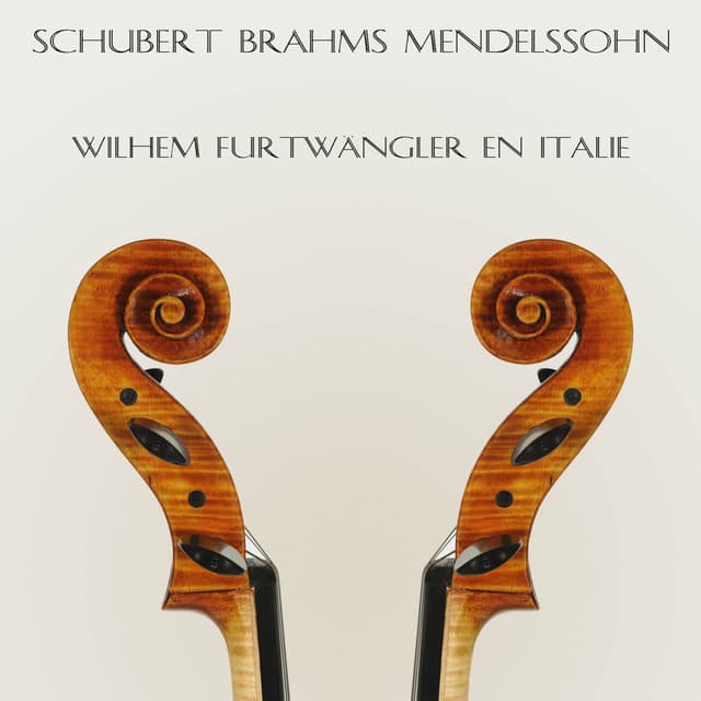 Schubert, Brahms & Mendelssohn : Wilhelm Furtwängler en Italie - Orchestra Sinfonica Di Torino Della Rai