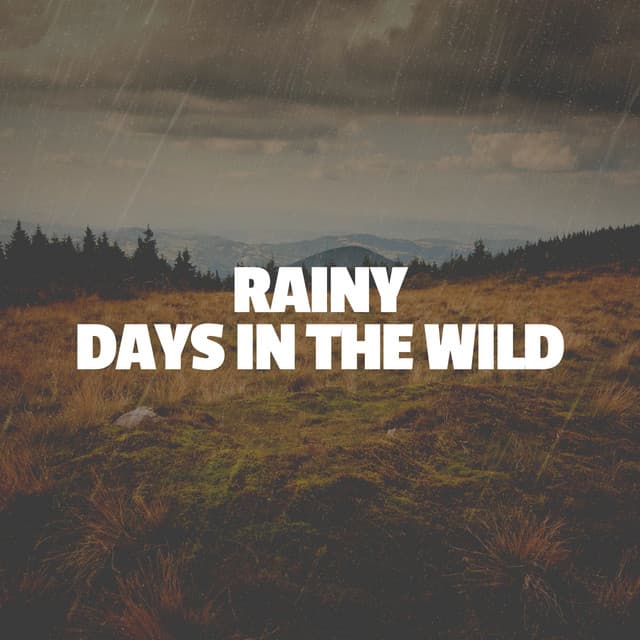 Rainy Days in the Wild - Rain Sounds & Nature Sounds