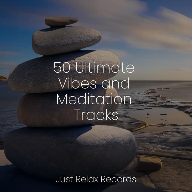 50 Ultimate Vibes and Meditation Tracks - Binaural Beats Brainwave Entrainment