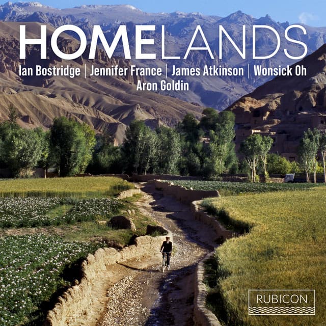 Homelands - Aron Goldin