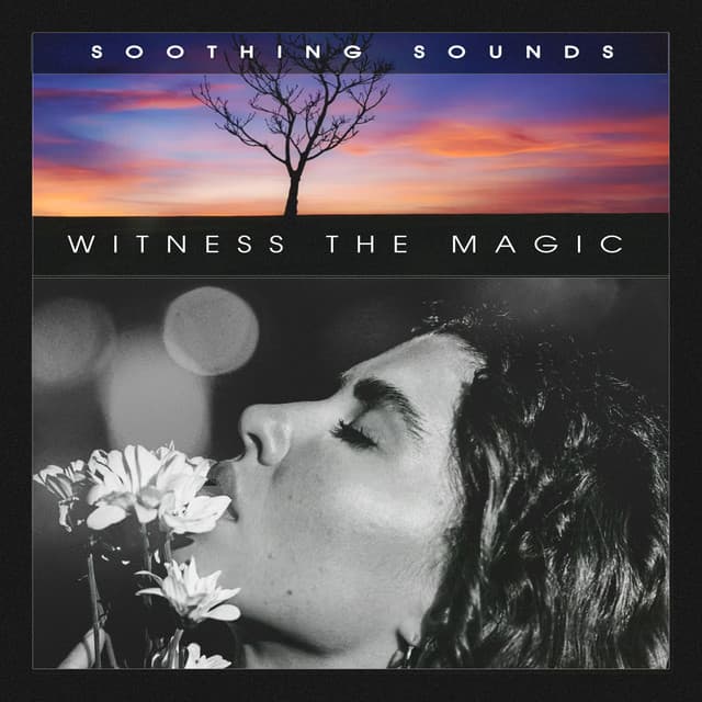 Witness the Magic - Soothing Sounds
