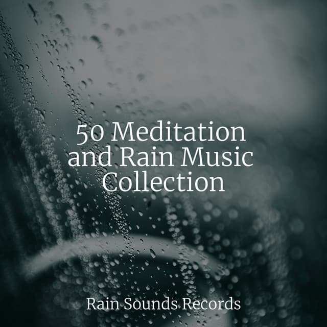 50 Meditation and Rain Music Collection - Nature Sound Collection