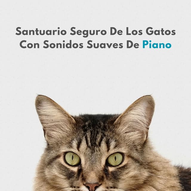 Santuario Seguro De Los Gatos Con Sonidos Suaves De Piano - Alegre Musica de Piano