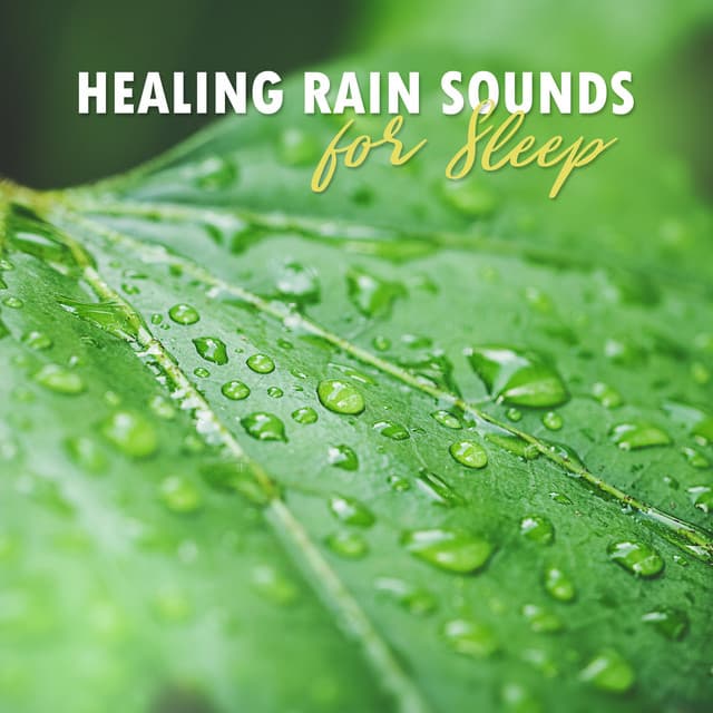 Healing Rain Sounds for Sleep - Natural Sounds Music Academy