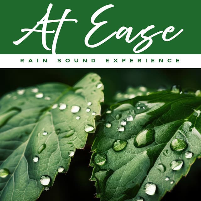 At Ease - Rain Sound Experience