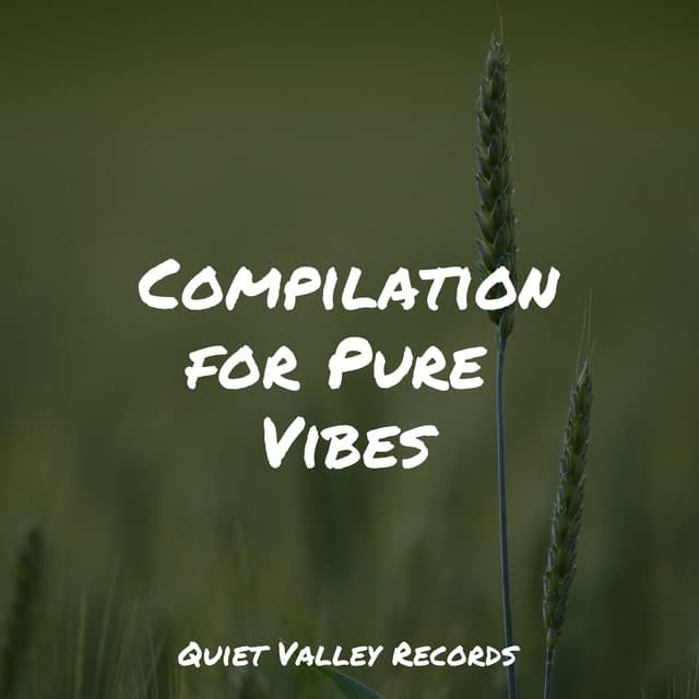 Compilation for Pure Vibes - Spa Music Collective