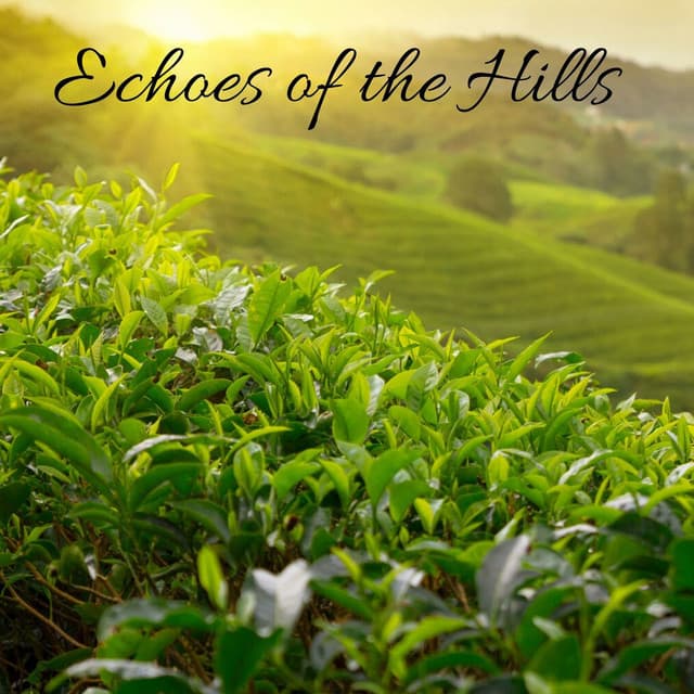 Echoes of the Hills - Granular