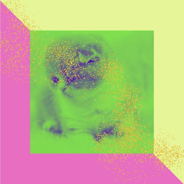 Trumpet and Alto Saxophone - Music for Cute Kitten - Cat Total Relax