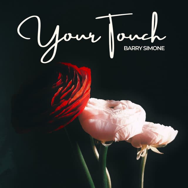 Your Touch: Linger a Little Longer - Barry Simone