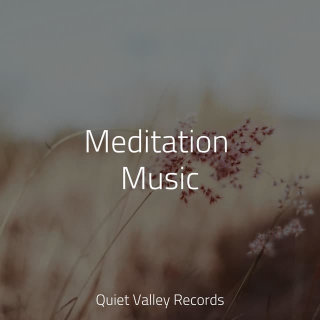 Meditation Music - Nature Music Pregnancy Academy