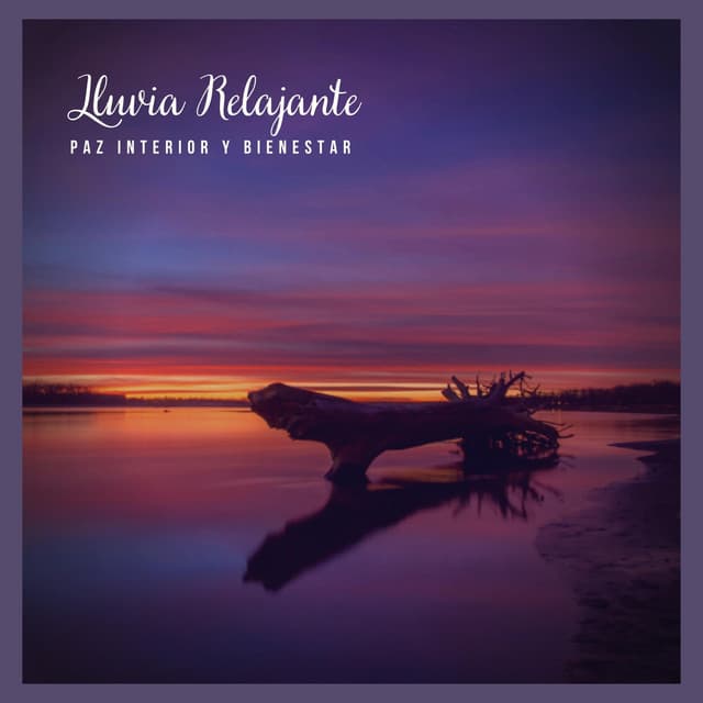 Lluvia Relajante: Paz Interior y Bienestar - Lluvia