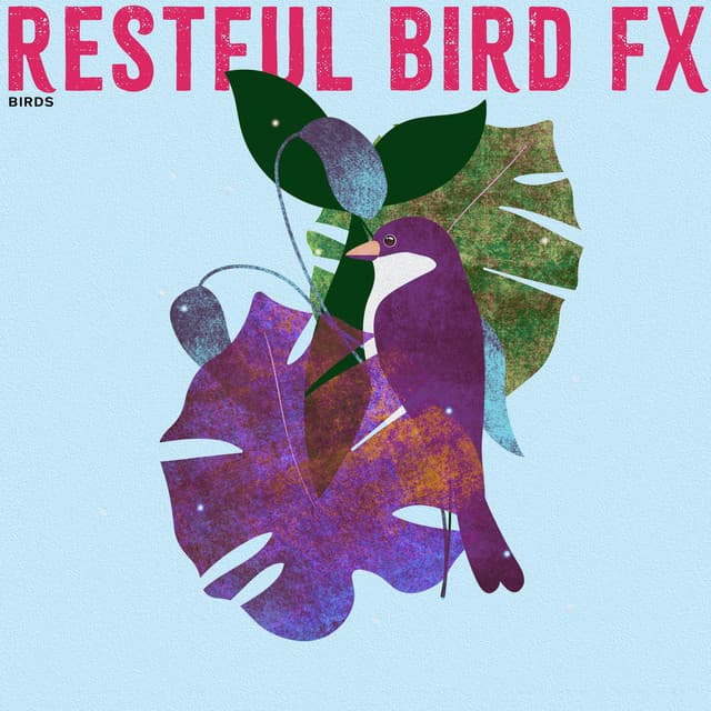 Restful Bird FX - Birds