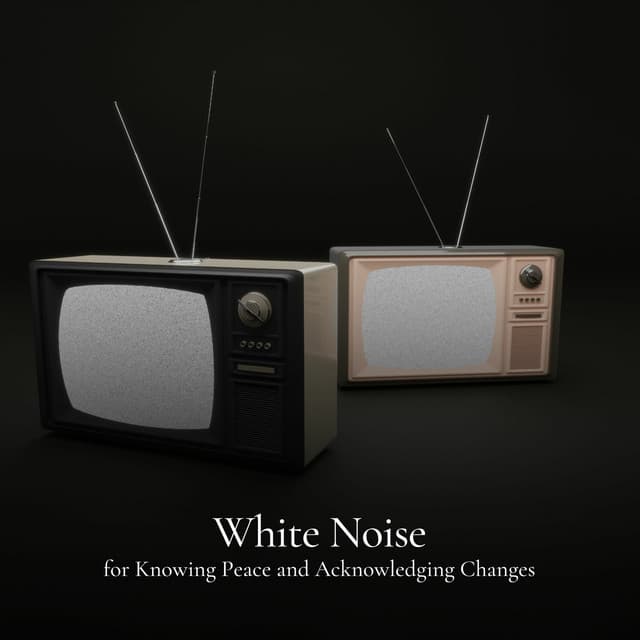 * White Noise for Knowing Peace and Acknowledging Changes * - Loopable White Noise