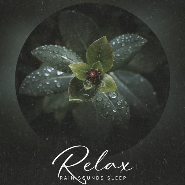 Relax - Rain Sounds Sleep