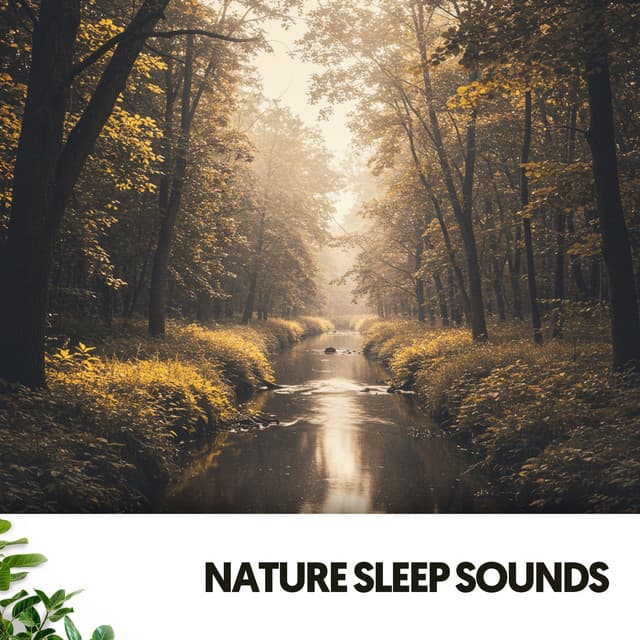Nature Sleep Sounds: Melodic Dreamscapes - Dog Relaxation