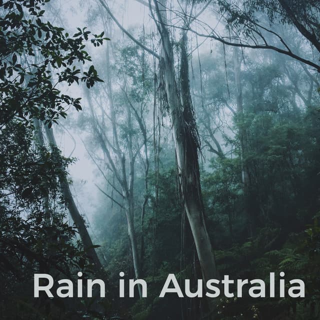 Rain in Australia - Rain Sounds XLE Library