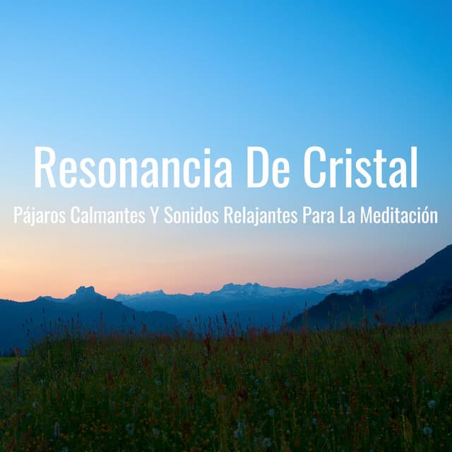 Resonancia De Cristal: Pájaros Calmantes Y Sonidos Relajantes Para La Meditación - Los Pájaros Cantores