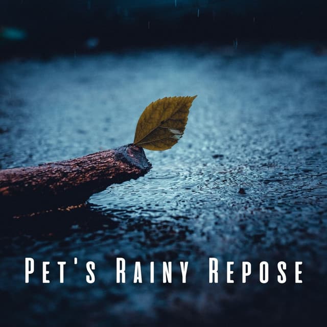 Pet's Rainy Repose: Soothing Pink Noise for Pet Calmness - Soporific Pink Noise