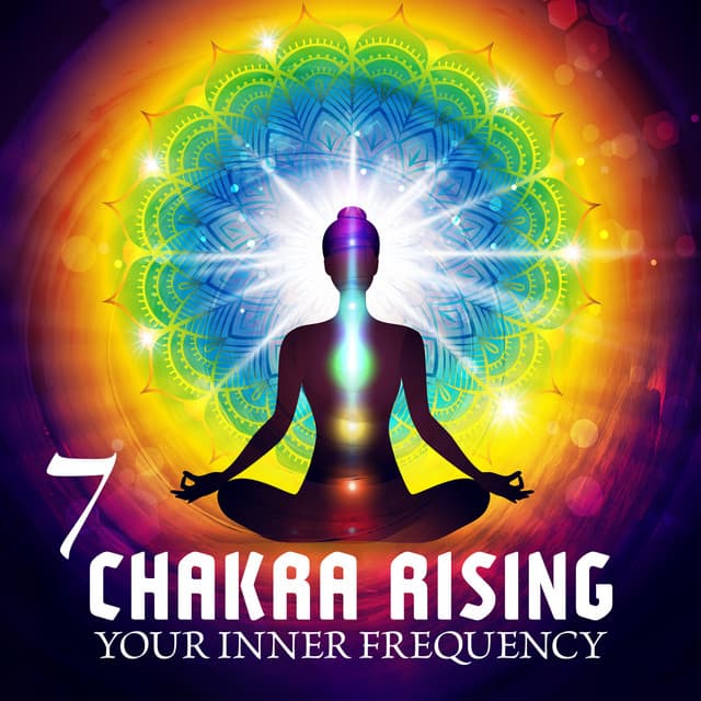 7 Chakra Rising Your Inner Frequency - Roy Lintoon