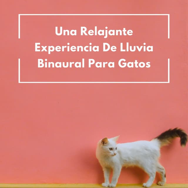 La biblioteca de la lluvia
