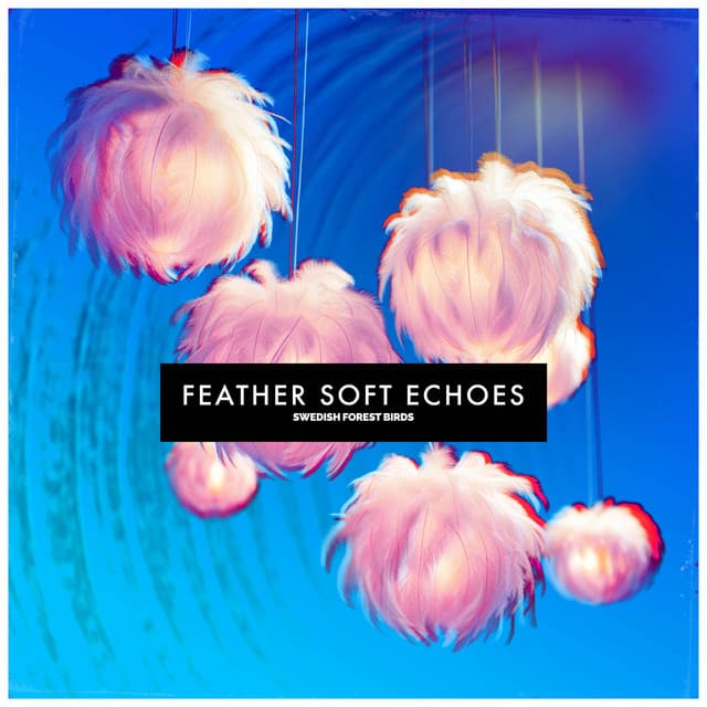 Feather Soft Echoes - Swedish Forest Birds