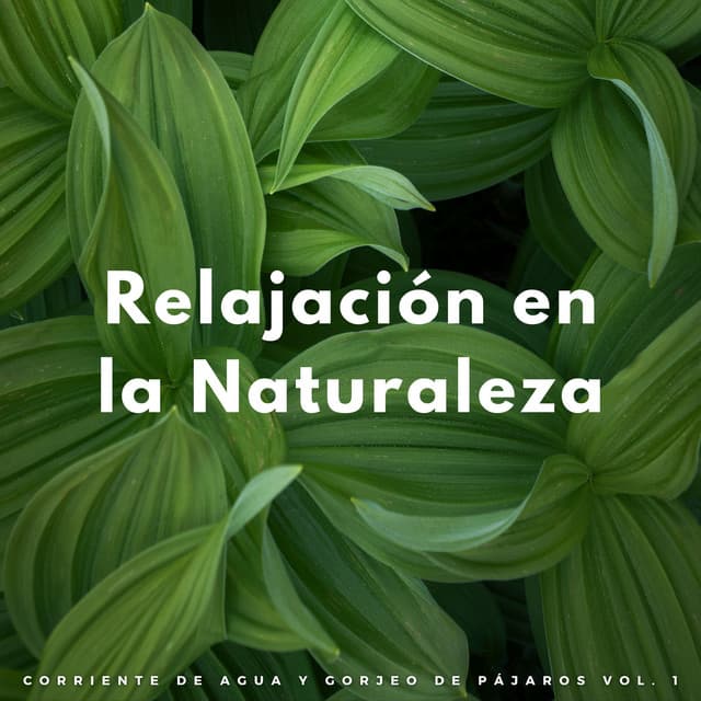 Relájate hermano
