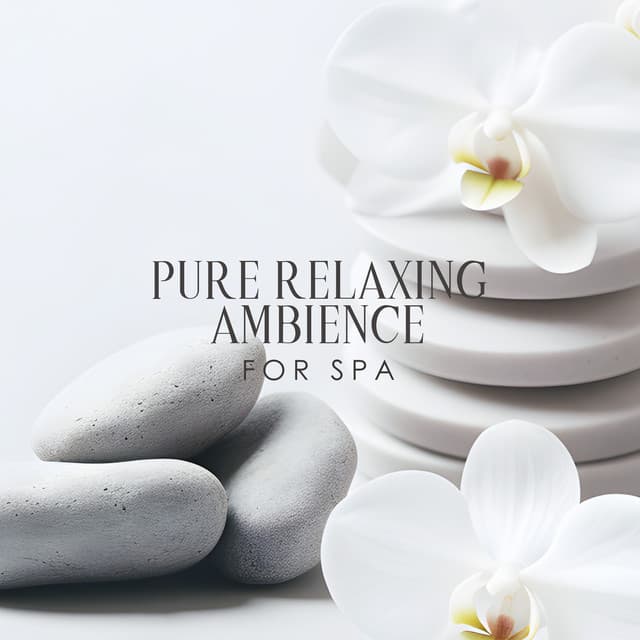 Pure Relaxing Ambience for Spa - Spa Music Paradise Zone