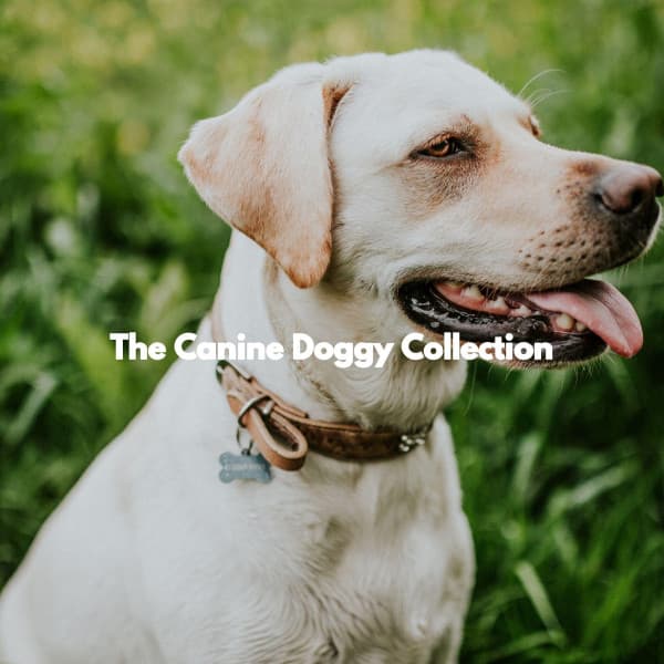The Canine Doggy Collection - Dog Sleeping Soundtracks Deluxe