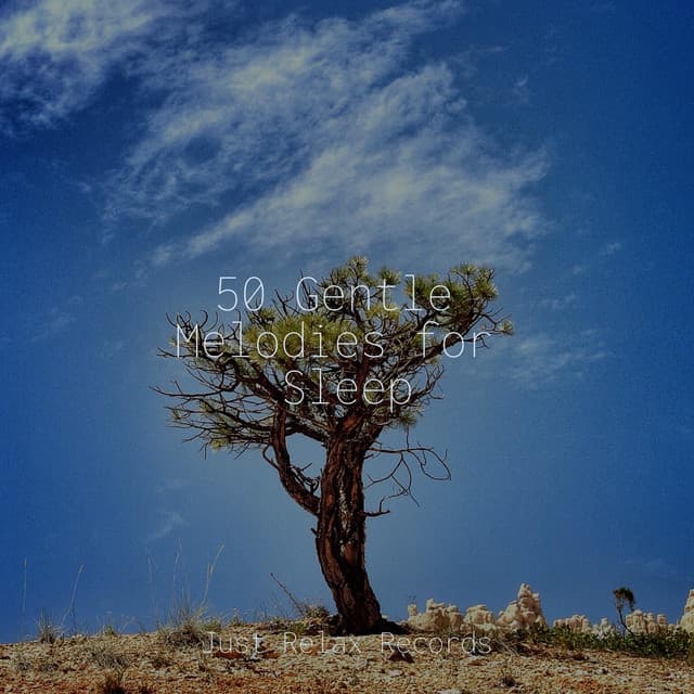 50 Gentle Melodies for Sleep - Sleep Baby Sleep