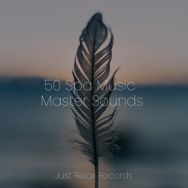 50 Spa Music Master Sounds - Spa & Spa