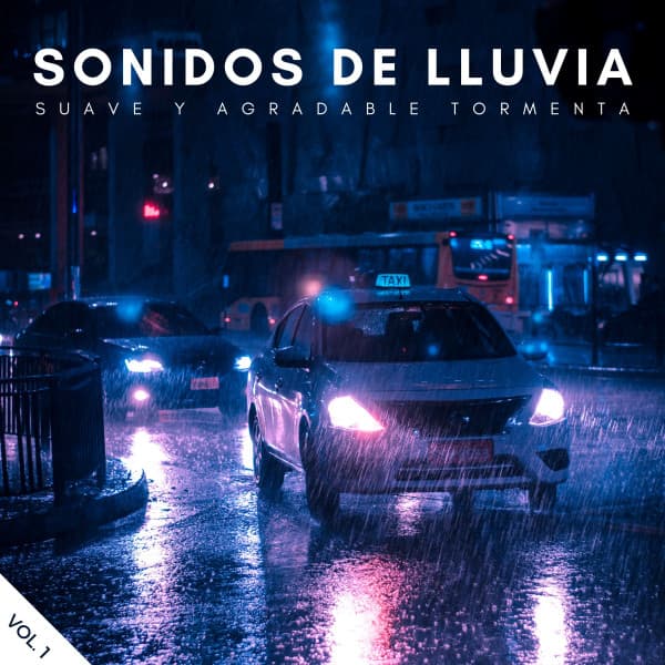 Sonidos De Lluvia: Suave Y Agradable Tormenta Vol. 1 - Lluvia para un sueño profundo