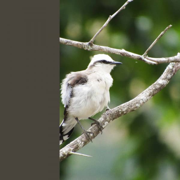 Joyful - Calming Moments - Musica para Hoteles Bgm