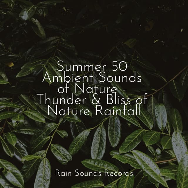 Summer 50 Ambient Sounds of Nature - Thunder & Bliss of Nature Rainfall - Rain Sound Studio