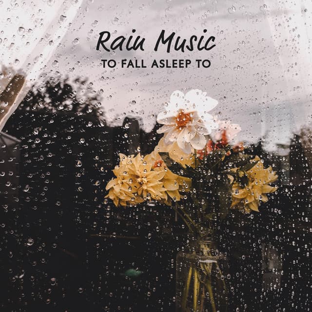 Rain Music to Fall Asleep To - Forest Winston