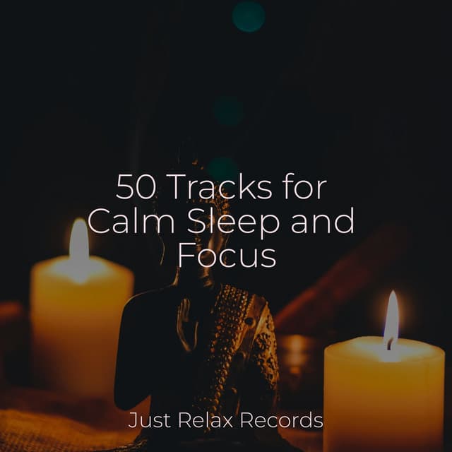 50 Tracks for Calm Sleep and Focus - Easy Sleep Music