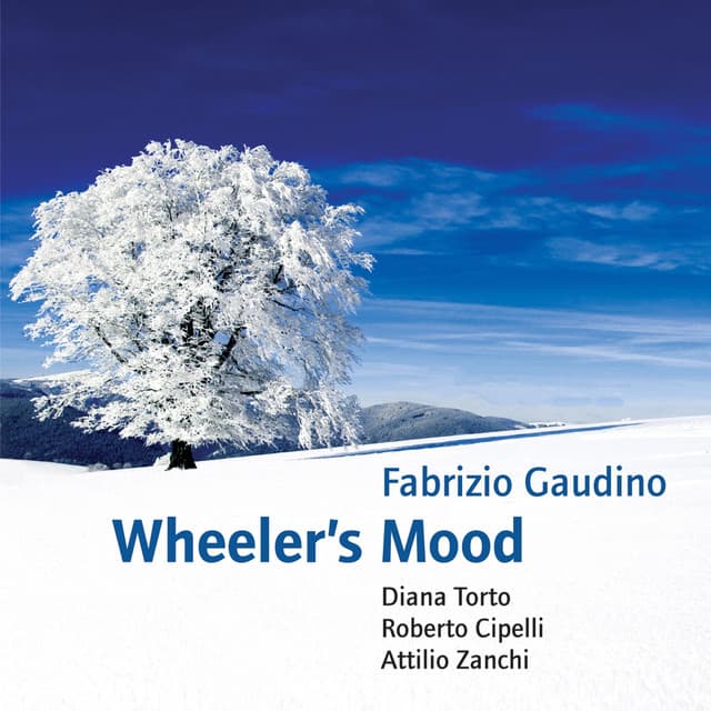 Wheeler's Mood - Fabrizio Gaudino