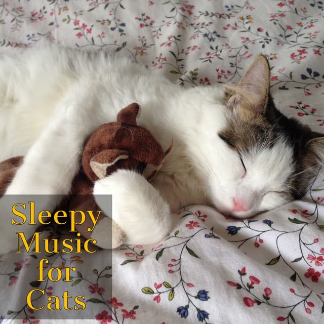 Cats Jazz | Sleepy Music for Cats - Jazz Music for Cats