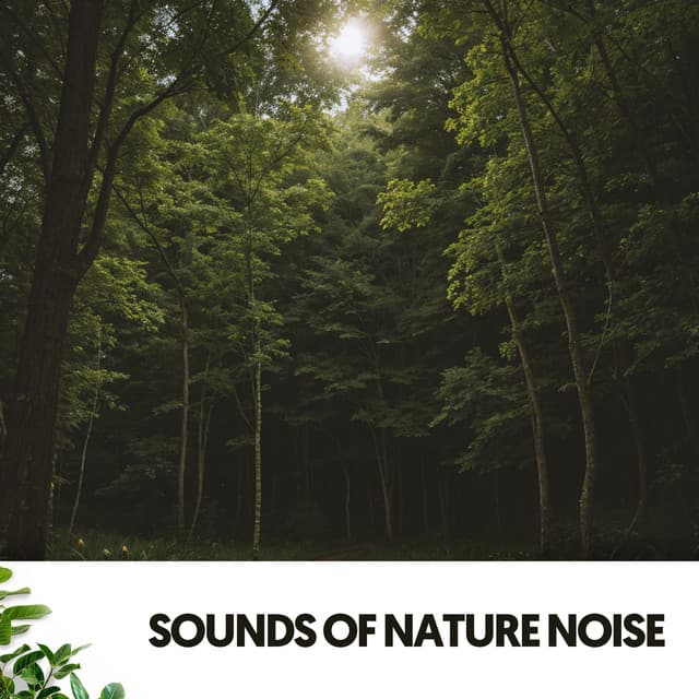 Sounds of Nature Noise: Paths to Peaceful Aventure - Ruido Blanco Hart