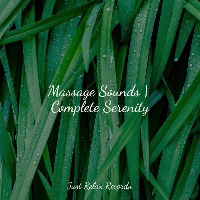 Massage Sounds | Complete Serenity - Relaxing Music