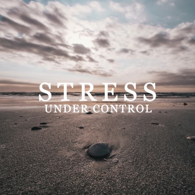 Stress Under Control - Full Rest, Recovery Freshness, Soothing Remedy, Zen Peace - Less Stress Music Academy