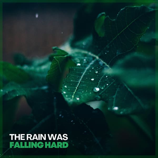 The Rain Was Falling Hard - Always Raining