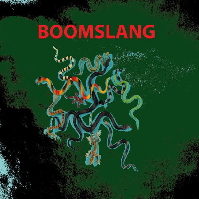 Boomslang - Rich Halley