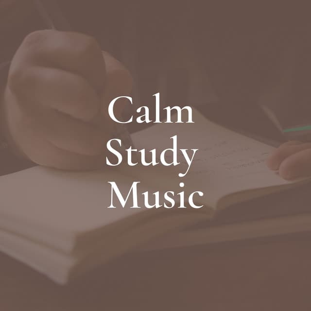 Calm Study Music - Study Ambient