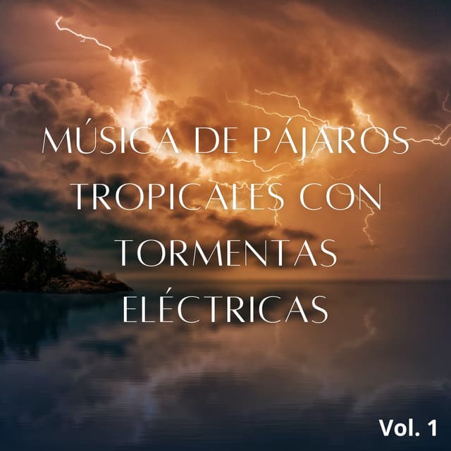 Música De Pájaros Tropicales Con Tormentas Eléctricas Vol. 1 - Sonidos de tormenta de lluvia