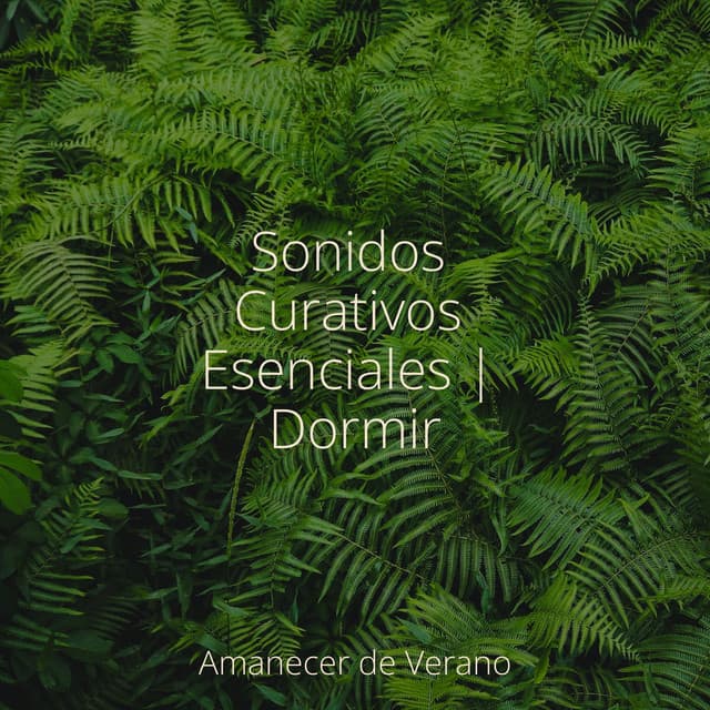 Sonidos Curativos Esenciales | Dormir - Música para Correr