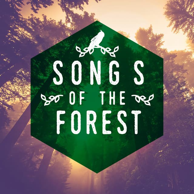 Songs of the Forest - Deep Sleep Nature Sounds