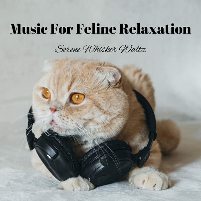 Music For Feline Relaxation: Serene Whisker Waltz - Evening Chillout Playlist