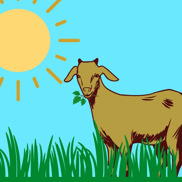 Music for Favorite Thoughts - Cooking Music